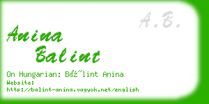 anina balint business card
